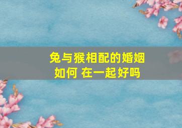 兔与猴相配的婚姻如何 在一起好吗